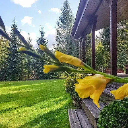 Beautiful In With Wifi 別荘